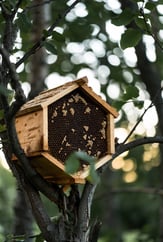 2932b35d-5d4b-46f7-b8fb-8a45f29ed5cf